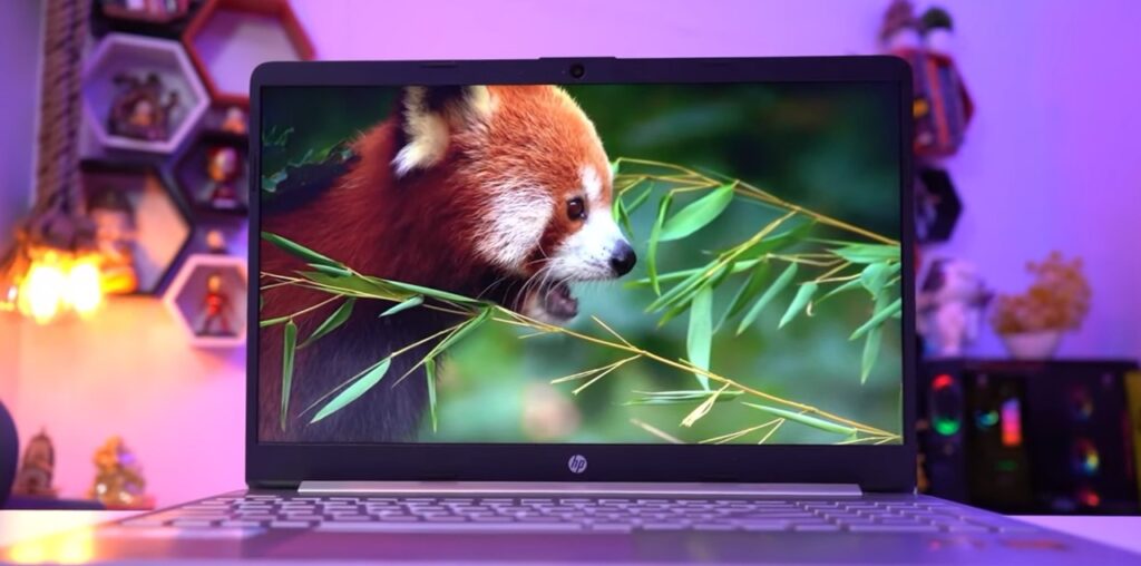 Front view of an HP laptop on a table, displaying a vibrant image of a red panda amidst green bamboo leaves. The background features a blurred indoor setting with decorative shelves and soft lighting, creating a cozy atmosphere.